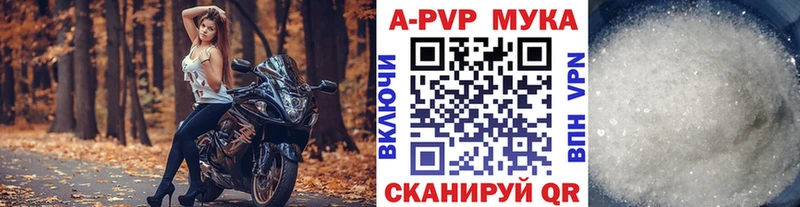 ссылка на мегу ссылка Долгопрудный Alfa_PVP СК КРИС