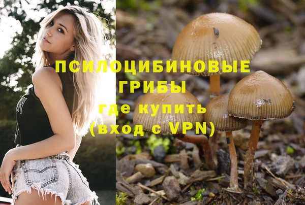 МДПВ Горно-Алтайск