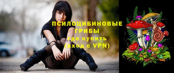 МДПВ Горно-Алтайск