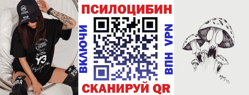 Псилоцибиновые грибы Psilocybine cubensis  Долгопрудный 