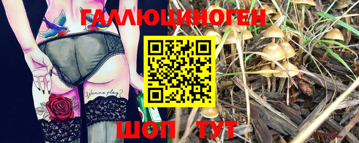 Галлюциногенные грибы мухоморы Долгопрудный