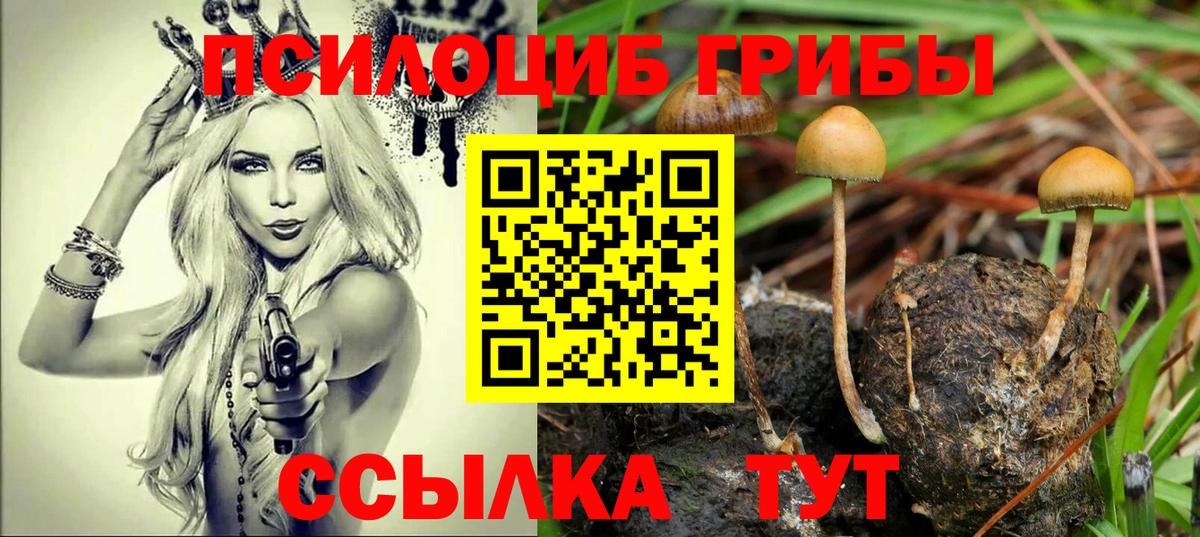 Долгопрудный  Псилоцибиновые грибы MAGIC MUSHROOMS  дарнет шоп  Вход с VPN  Псилоцибиновые грибы ЛСД 